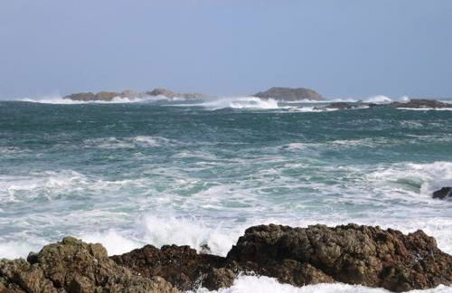 Shell Hill Mews - Foto 31