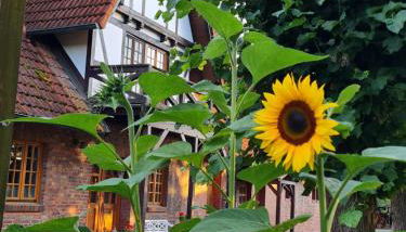 Landhaus Wohnung 30 Min bis Hamburg - Foto 2
