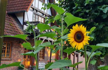 3 Zi. 30 Min. von Hamburg, Landhaus Wohnung - Foto 17
