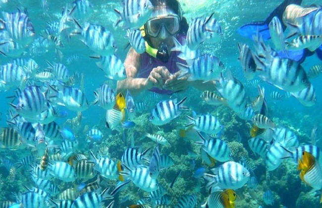 3 Piscinas em Dahab - Foto 2