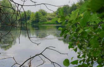 The Dairy at Lodge Farm - Photo 19