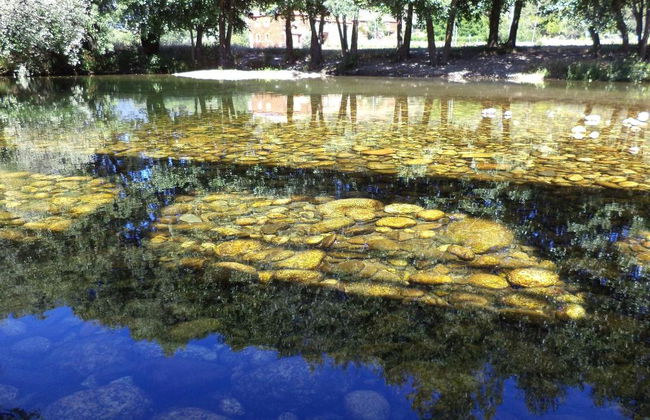 Casa Lagar Da Alagoa - Foto 23