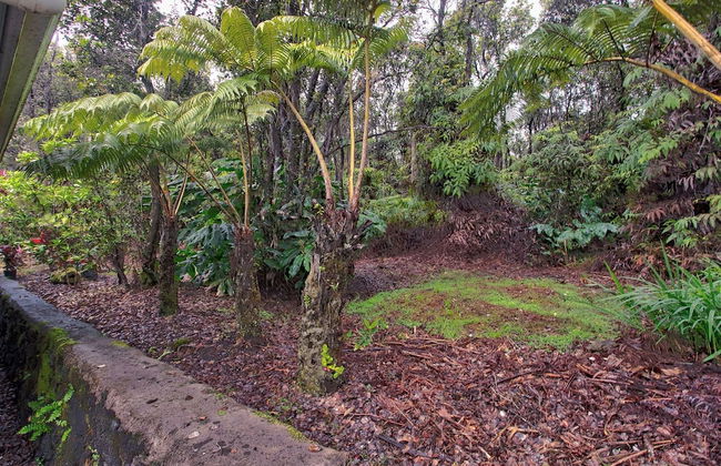 Aloha Ohia Hale 1 Bedroom Home by RedAwning - Foto 19