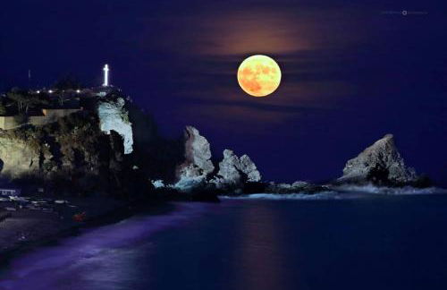 Apartamento Cruise Views - Photo 45