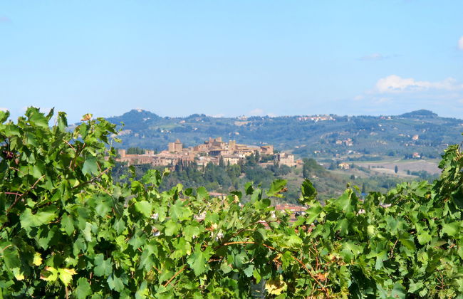 3 bedroom House in Certaldo with private pool and garden - Photo 36