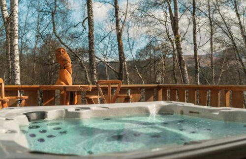 Caledonian Cabin - Photo 37