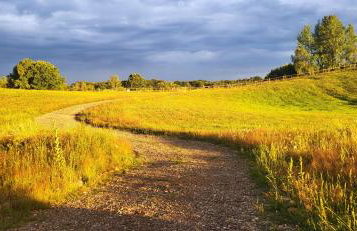 Wilczy Zew Private Spa & Nature - Foto 50