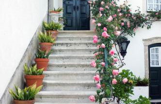 Quinta de São Lourenço - Foto 26