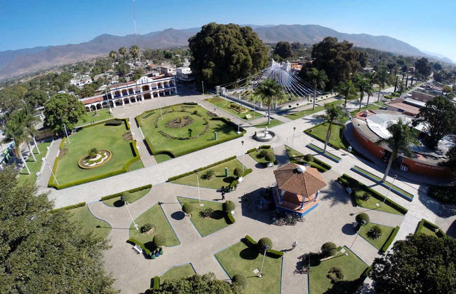 Santa María del Tule Bike Tour - Photo 2