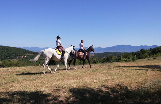 Farmhouse With Stables, Horses and the Ability to Make Horseback Riding - Foto 74
