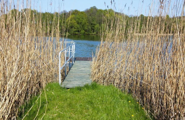 Ferienhaus Seeblick, Zemitz - Foto 18
