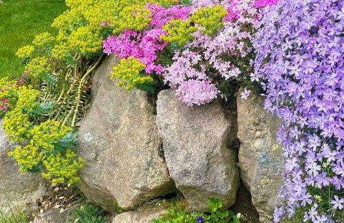 NatureGlow Residence Stylish Contemporary Home - Foto 35