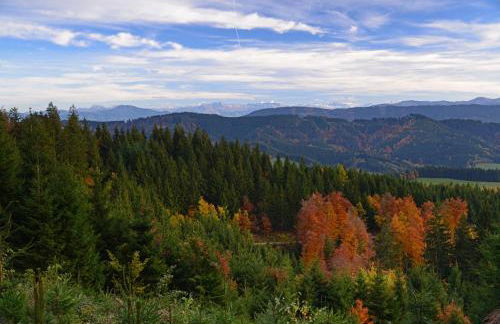 ALLGÄU HAUS - Foto 46