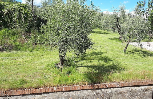 Agriturismo Villa Bracali - Foto 154