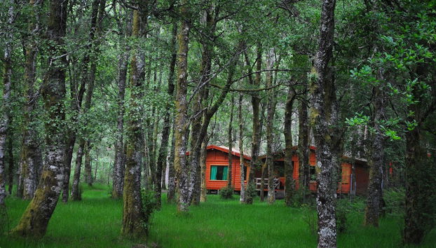 Bungalows da Peneda - Foto 2, Imagen principal