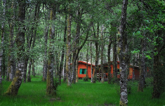 Bungalows da Peneda - Foto 1