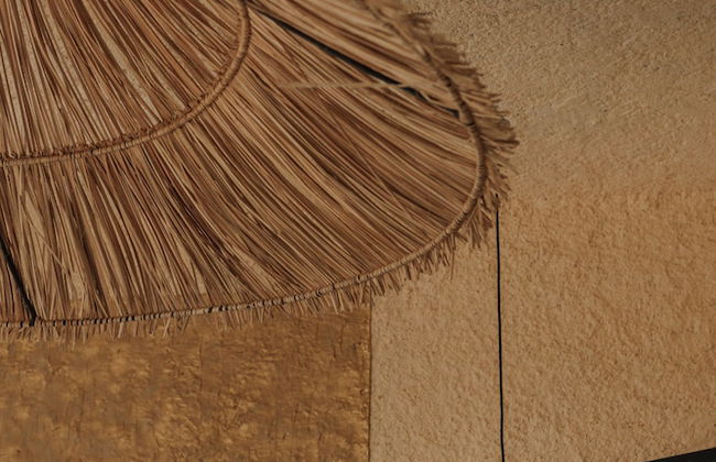 San Marcos Properties - Foto 41