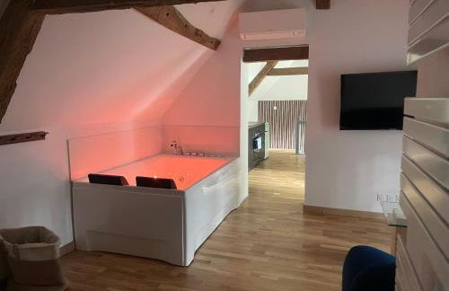 Gite balnéo - Photo 1