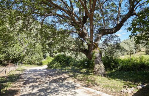 Cortijo el Soto - Foto 13