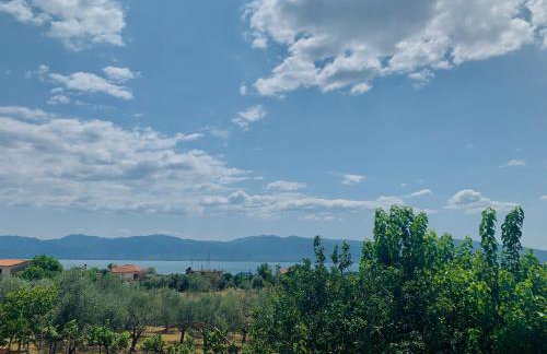 BOKAS EXOTIC HOUSE - Foto 14