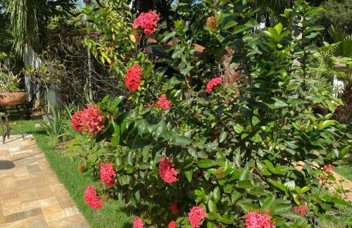 Casa de Campo Pampulha - Foto 28