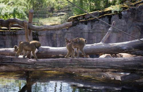 Ferienhof Barthel - Foto 51