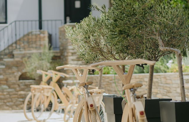 Krinos Suites Hotel - Photo 37