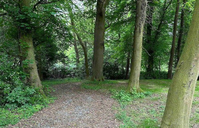 Captivating 5-bed Apartment Near Sion Mills - Foto 14