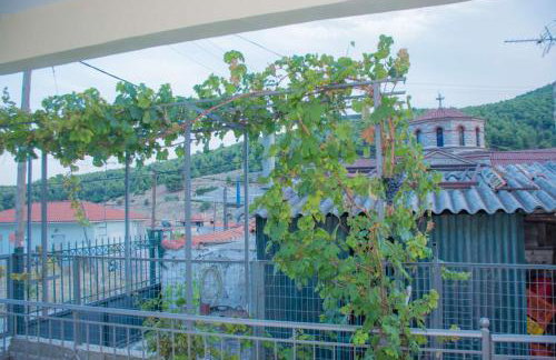 Sofiko Family House - Foto 52