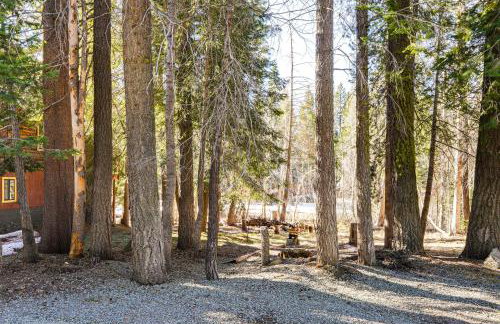 Sequoia Forest Remote Retreat! Dreamtime Cabin - Foto 36