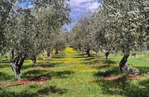 Mondellebotte - Luxus Villa & traumhafter Meerblick - Foto 48