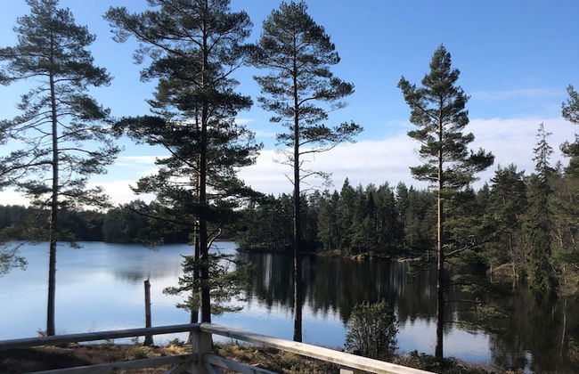 Björsjödal - Foto 68