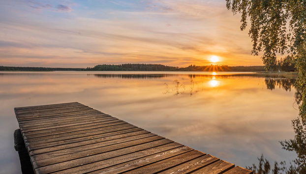 Hauki - Foto 5, Inside other