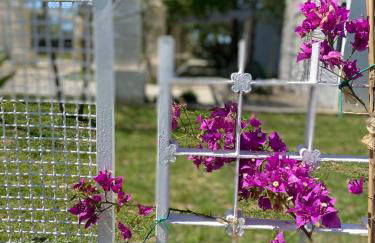 Agriturismo Tenuta la Monaca - Foto 52