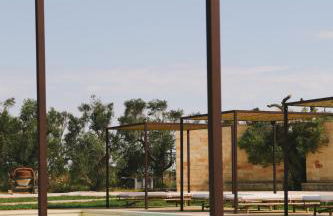 Secolario Masseria Del Viverbene - Foto 41