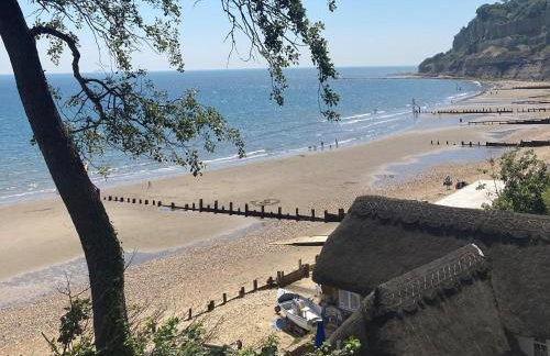 6 Shanklin Manor - family friendly apartment in Shanklin Old Village - Photo 40