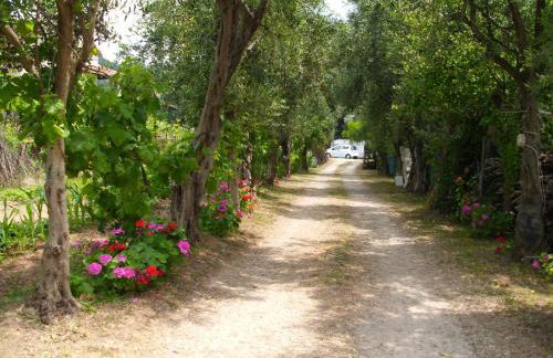 Olga's Garden Apartments - Foto 57