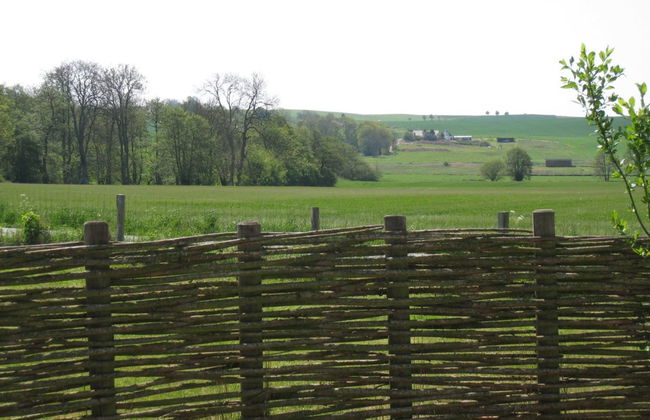 "Eva" - 1.5km to the fjord - Foto 16