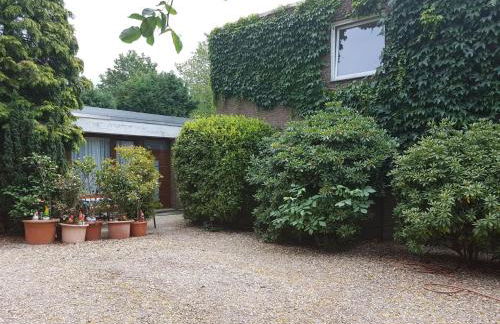 Ferienwohnung Fellnasen WG 2 - Foto 31