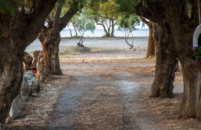 Aadonis Villa - Foto 48