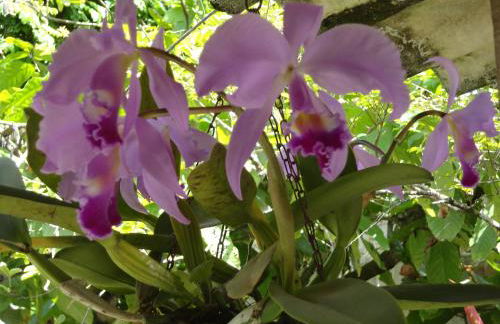 Trancoso Casas Para Temporada - Foto 33