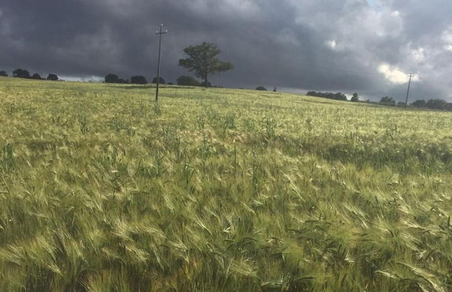 Poggio alla Pietra 26 - Foto 51