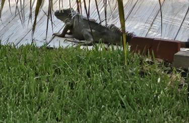 The Riverside Retreat 2 - Foto 37