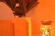 SottoVento - Foto 10