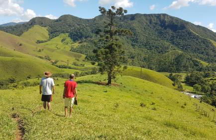 Fazenda Montanhes - Foto 59