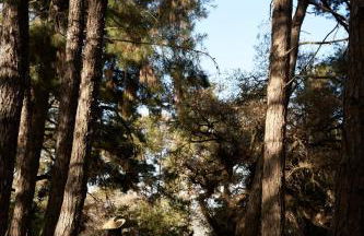 Eliathos Hillside Retreat - Foto 19