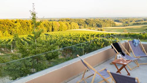 Boutique Wine and Wellness Retreat - Wine Residence Kerman - Foto 3, Garden