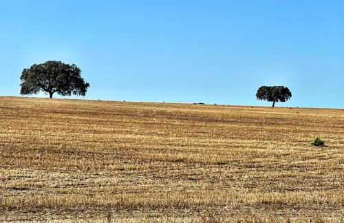Casa Postigo no Campo - Foto 26