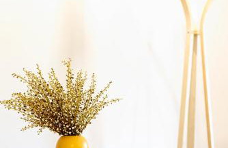 Afroditi's Delux apartment - Photo 14