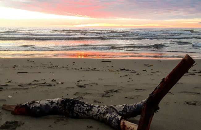 B&B Miami Beach - Foto 18